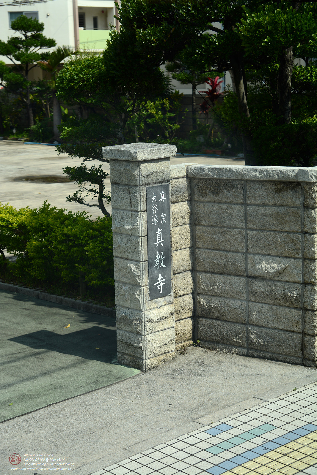 DSC_3383.jpg